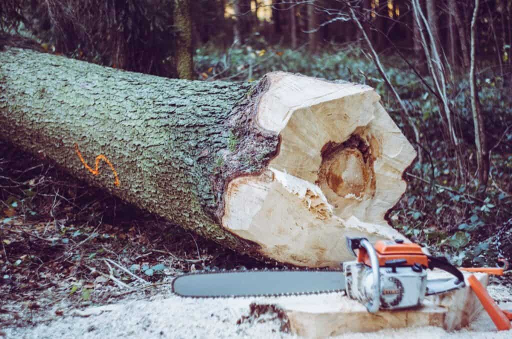 Chainsaw