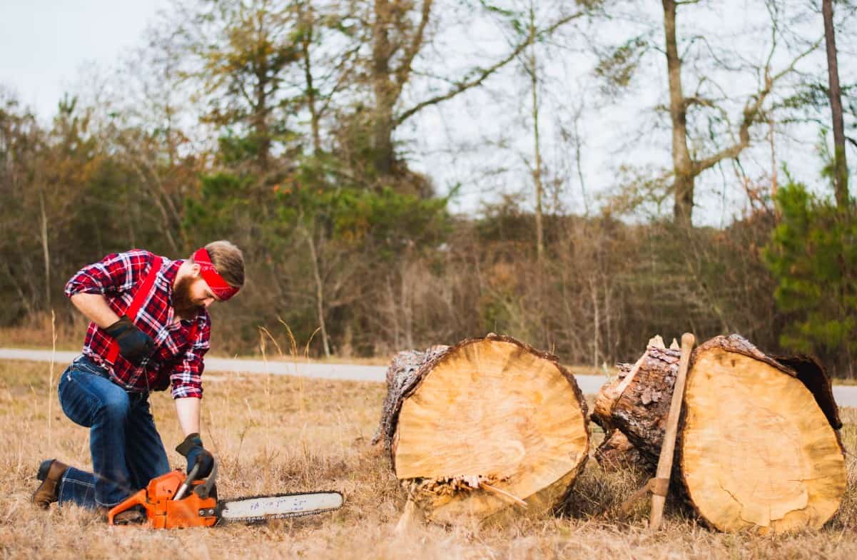 How to Find the Best Chainsaw and Which to Buy The Forestry Pros