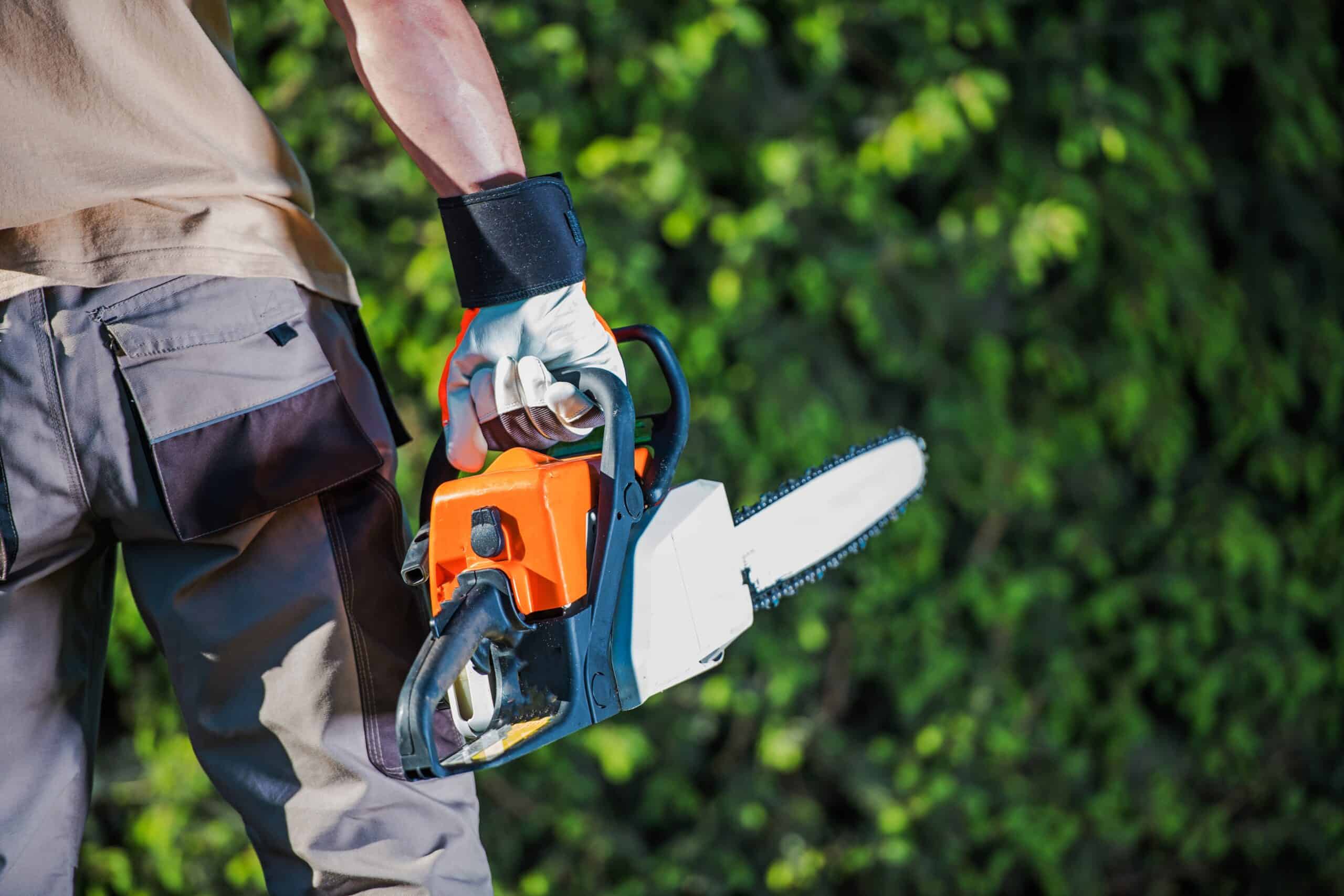 Best Homelite Chainsaw Models Guide - The Forestry Pros