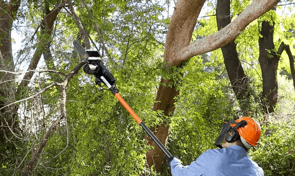 Pole Saw