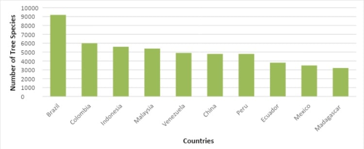 Top 10 Countries with Highest Tree Species