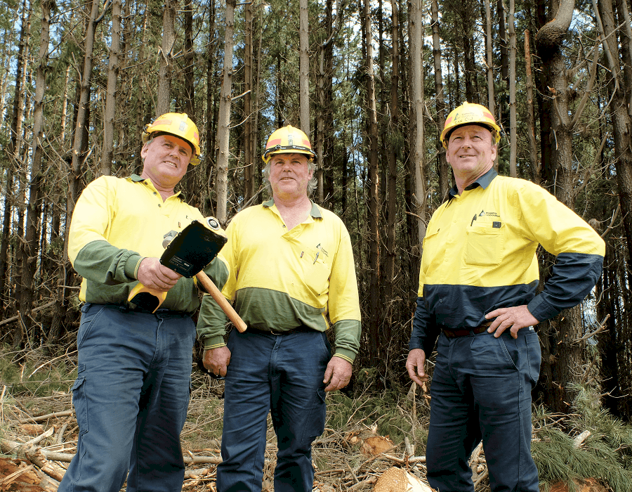 Forestry Training and Career Guide The Forestry Pros