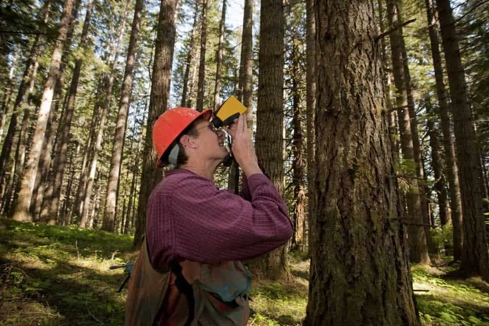 forestry-training-and-career-guide-the-forestry-pros