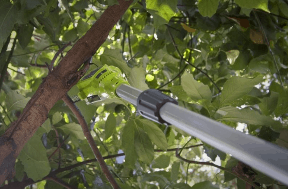Greenworks Pole Saw Review and Guide Is It Actually Good? The