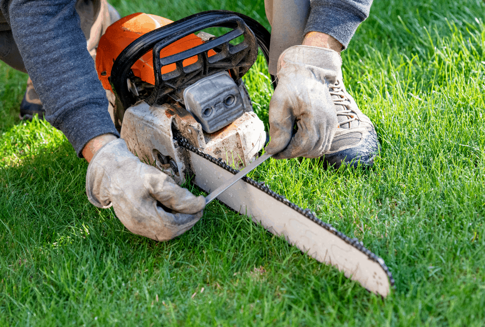 How to Find the Best Chainsaw File Top 10 Picks for 2021 The