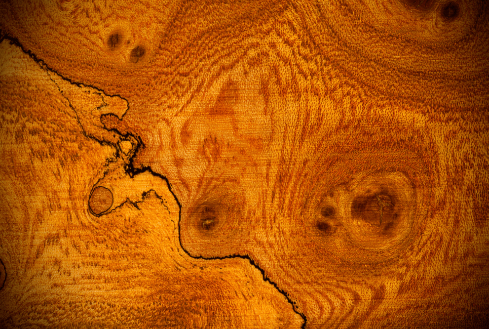 Lumber Guide Pecan Wood Uses And Properties The Forestry Pros