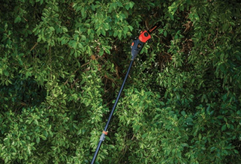 Remington Pole Saw Review and Guide Is It Worth Buying? The Forestry