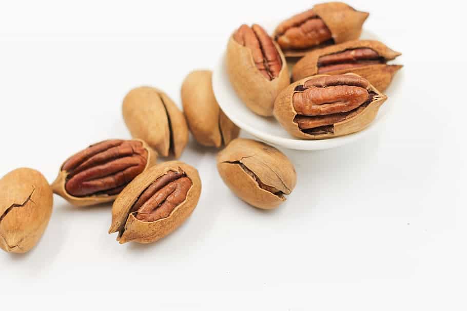 pecan fruits