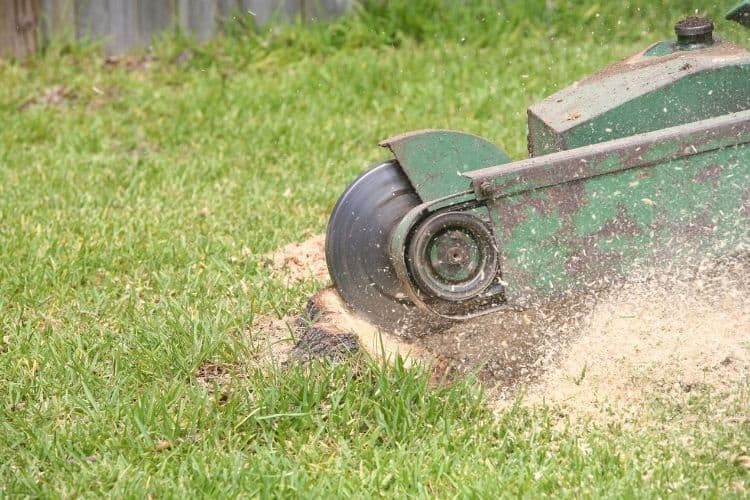 Different Types of Stump Grinders