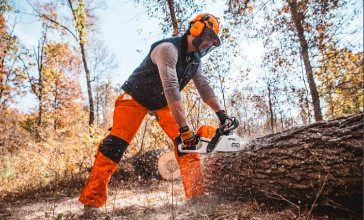 Best Stihl Chainsaw Models: Which Is The Perfect Pick For You? - The ...