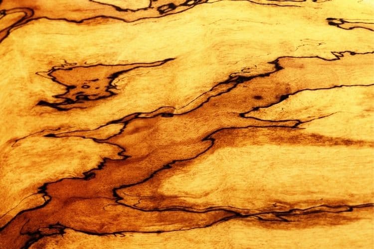 What is Spalted Maple