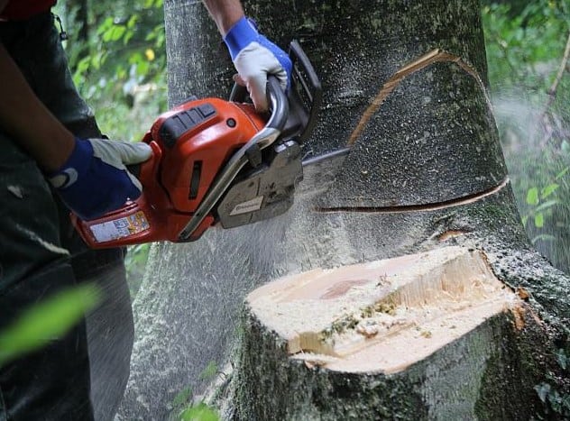 Chainsaw Husqvarna