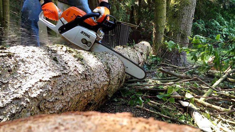 Stihl ms 291