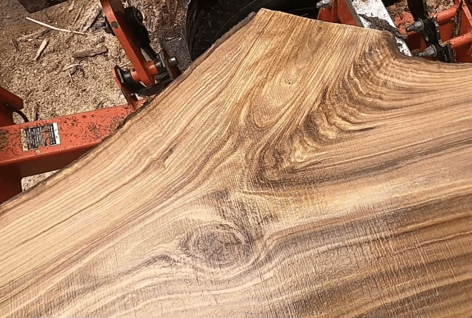 Lumber Guide: Chestnut Oak Wood Uses - The Forestry Pros