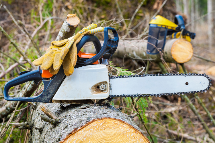 Chainsaw gloves