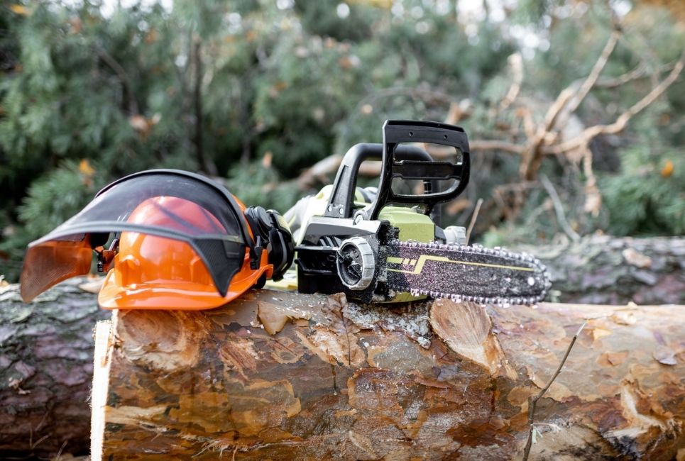 How to Find the Best Chainsaw Helmet to Protect Yourself The Forestry Pros