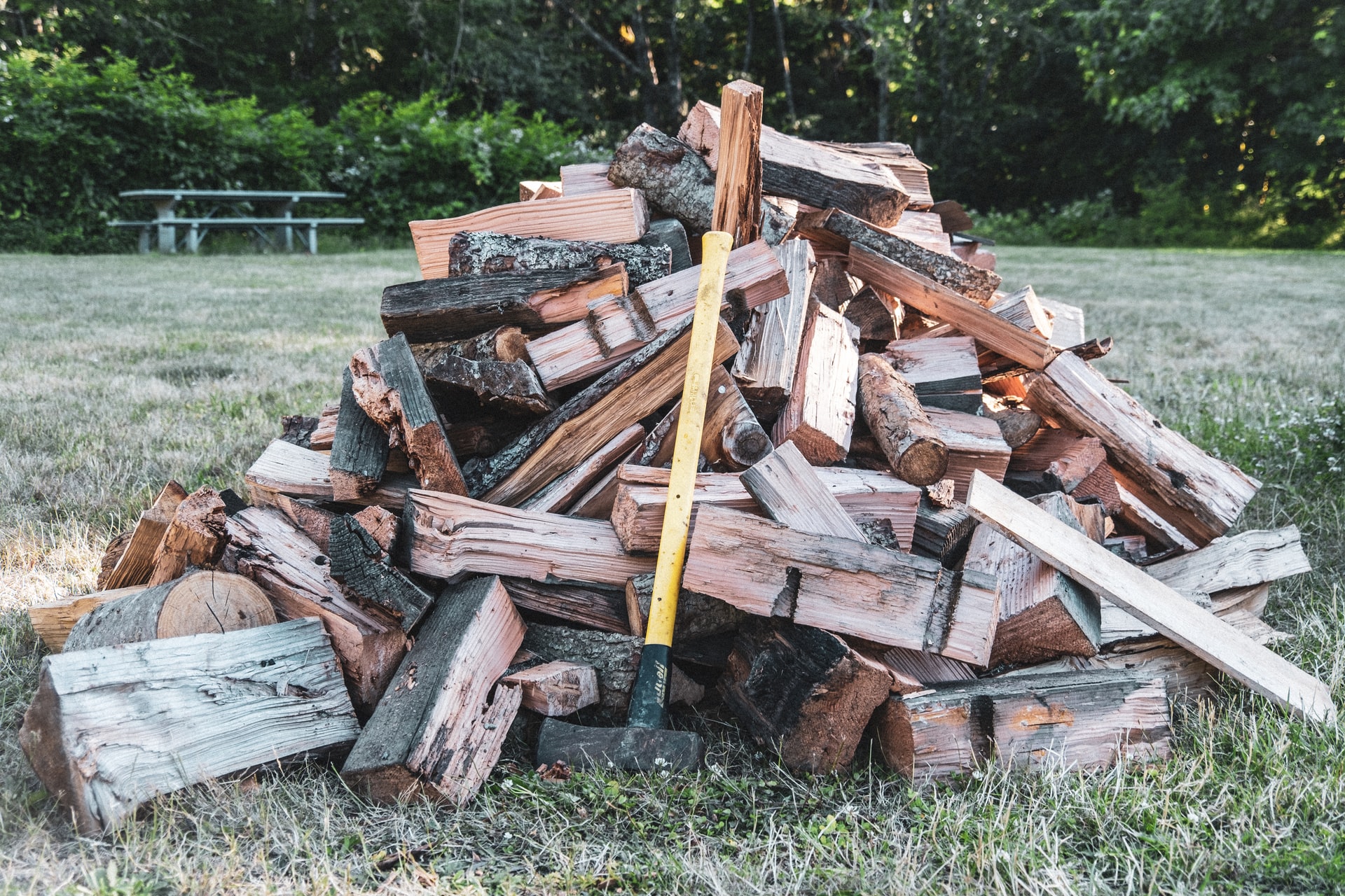 seasoned firewood