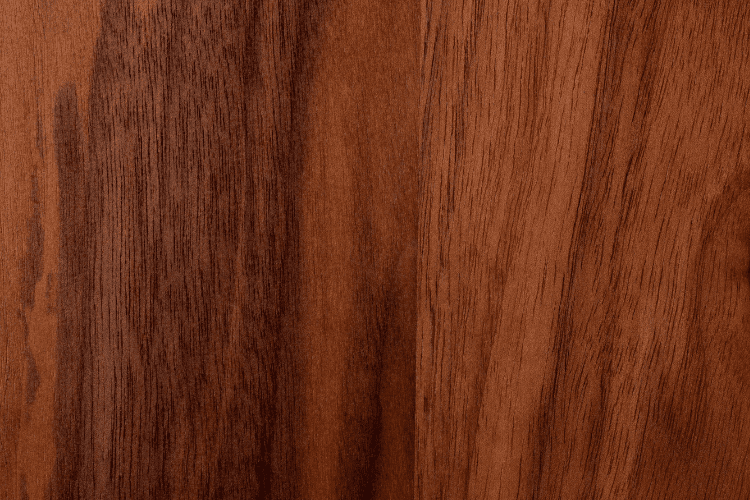 American Black Walnut