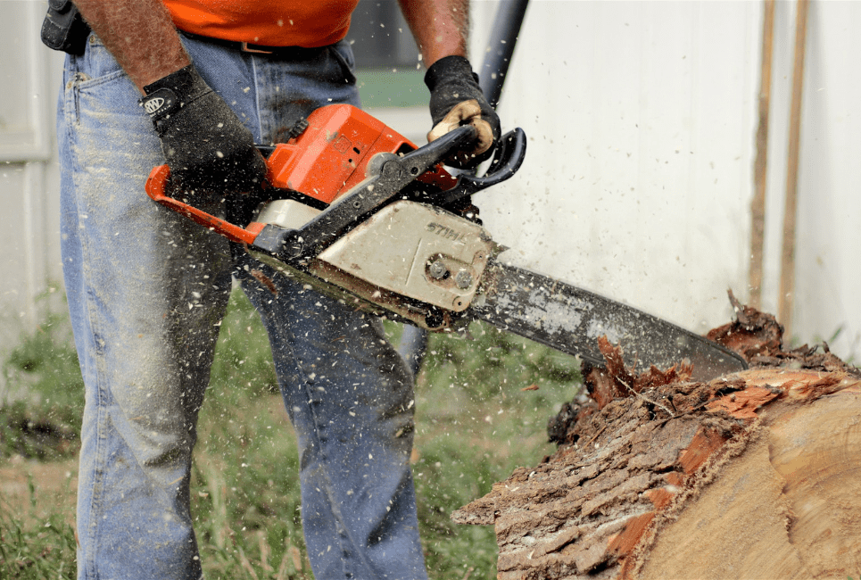 the-best-16-inch-chainsaw-chain-guide-the-forestry-pros
