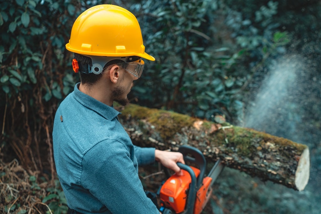 chainsaw helmet features