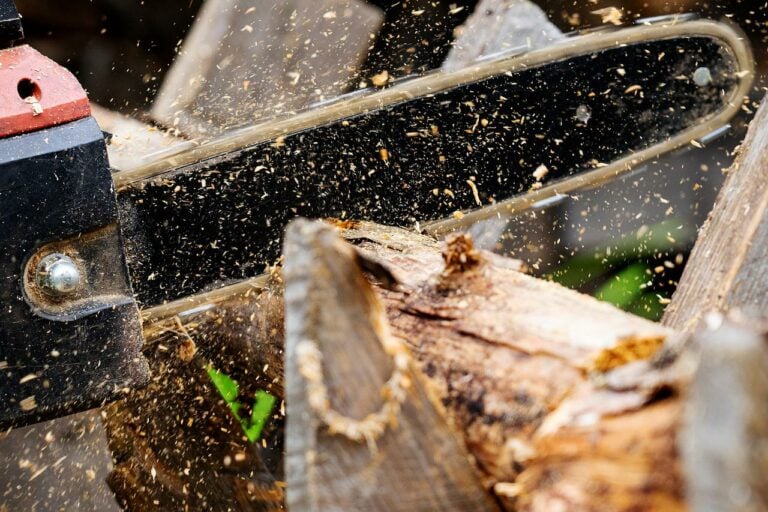 How to Treat Chainsaw Rust The Forestry Pros