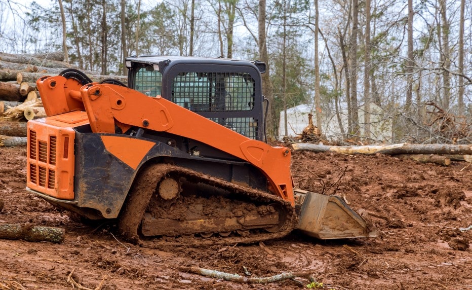 stump removal grinding