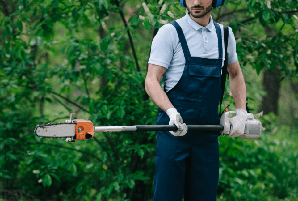 How to Use a Pole Saw Guide The Forestry Pros