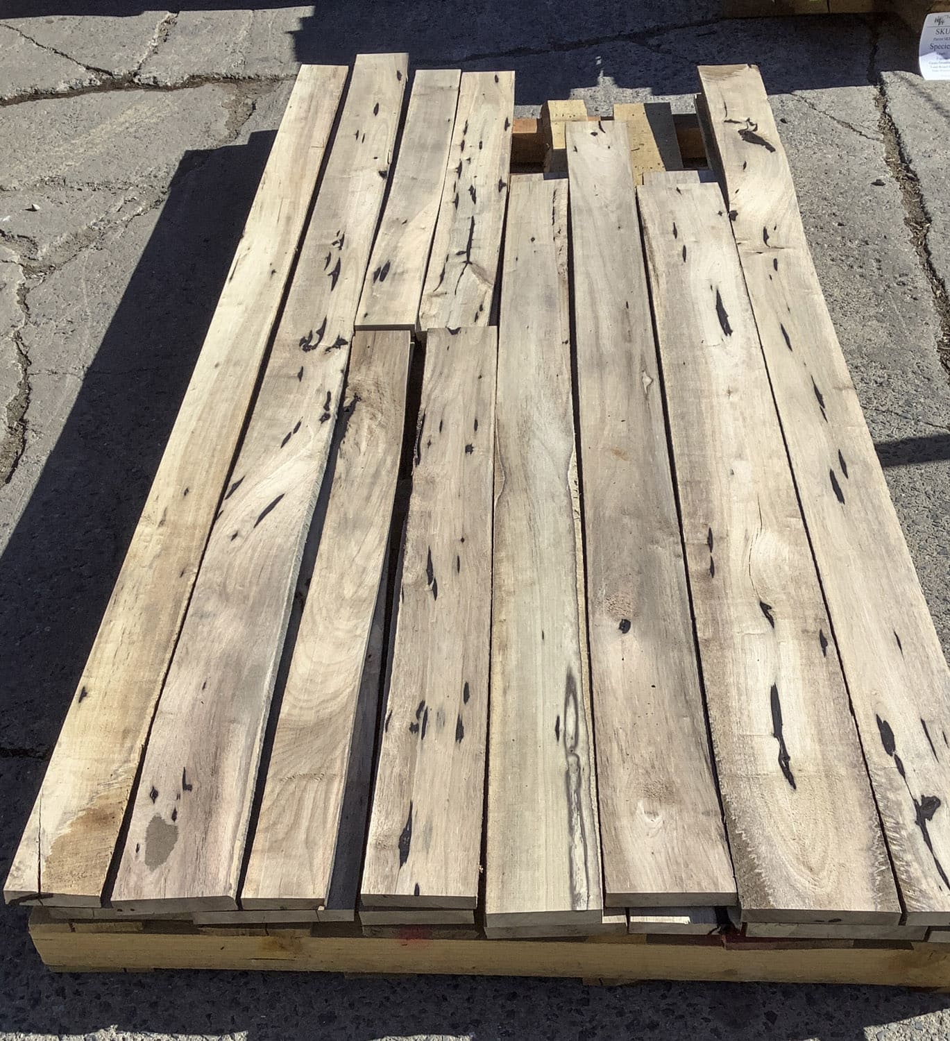 Persimmon Wood Uses: What to Do With This Hardwood - The Forestry Pros