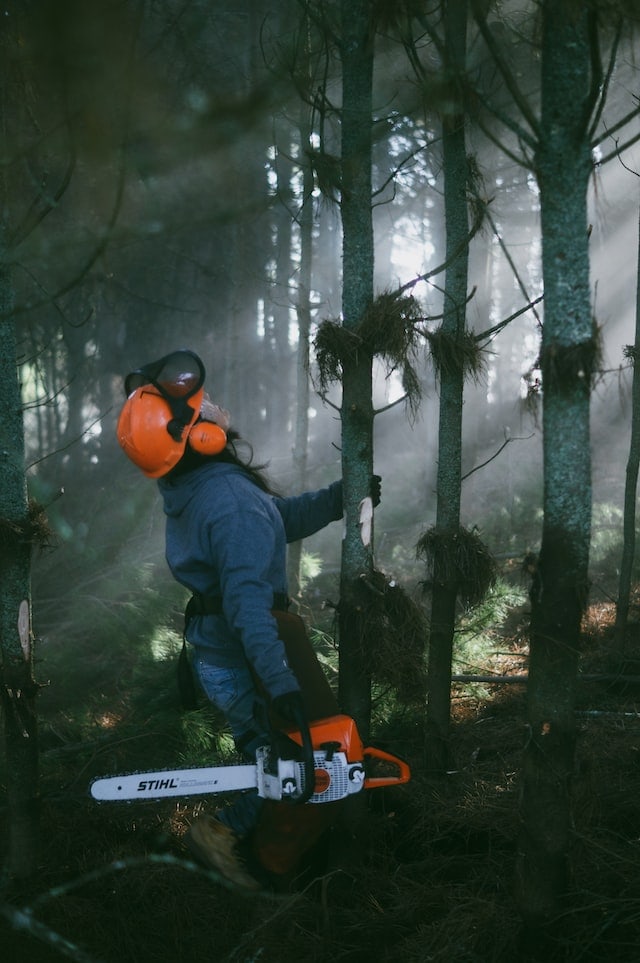 stihl chainsaw bar