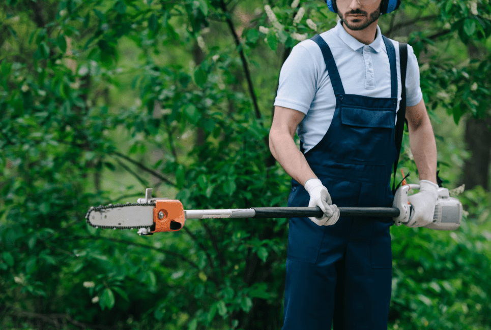 Pole Saw Rental Options Guide Why Big Box Stores Are Your Best Choice The Forestry Pros