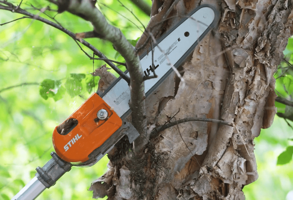 Best Stihl Pole Saws