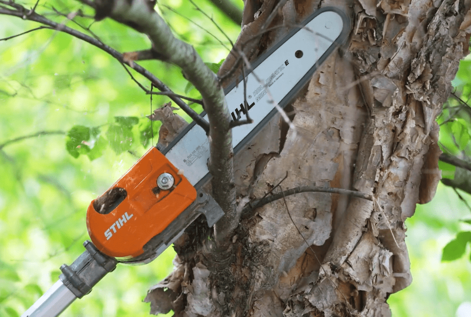 Best Stihl Pole Saws Guide The Forestry Pros