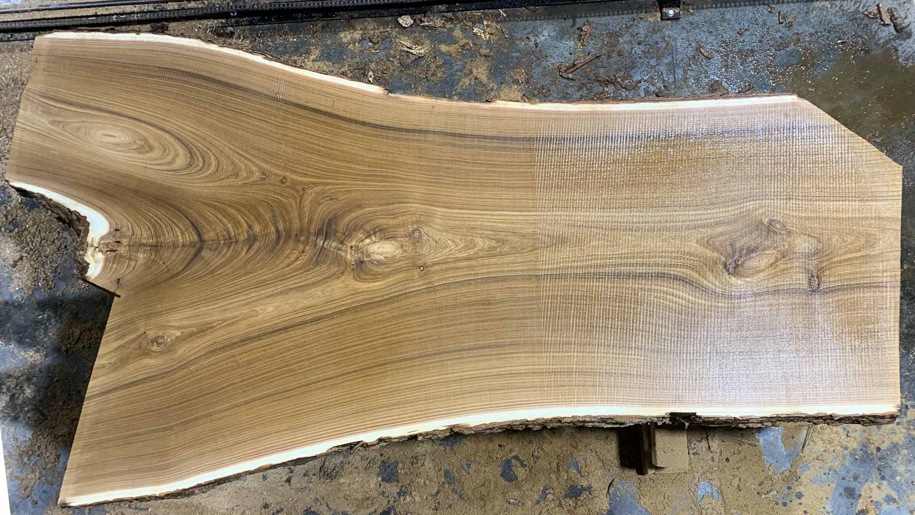 catalpa wood slab