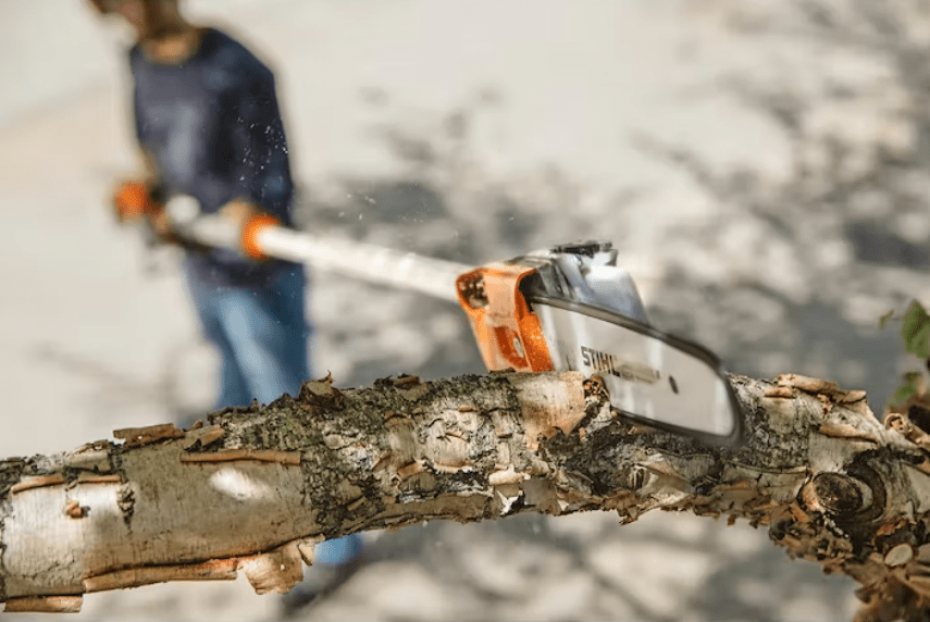 Best Stihl Pole Saws Guide The Forestry Pros 8056