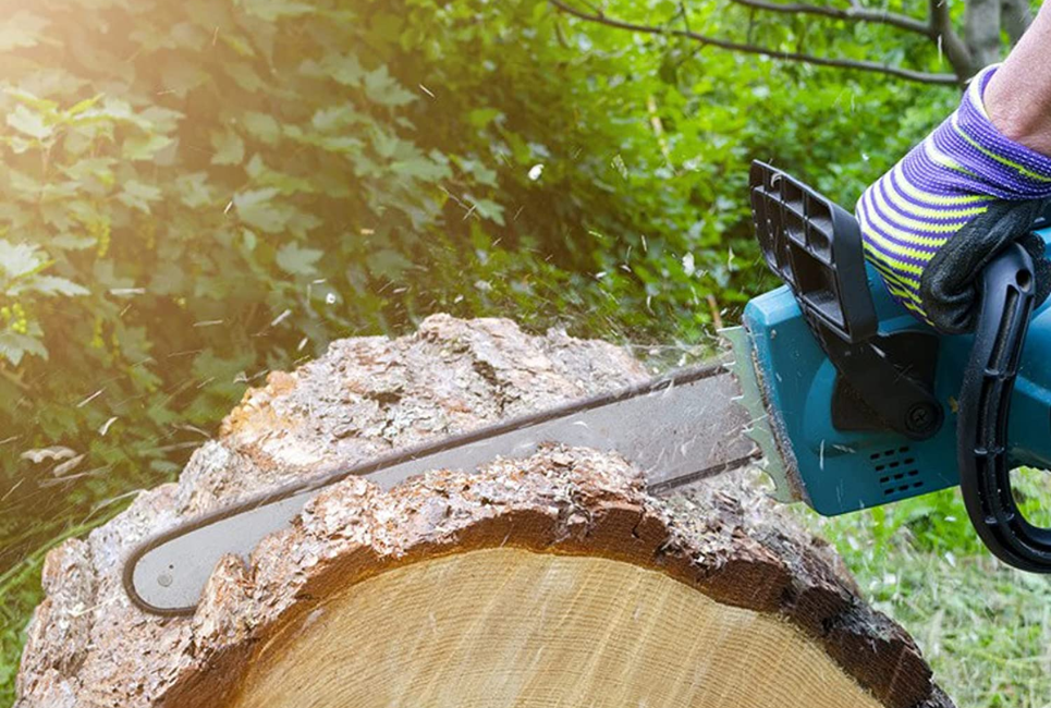 Best 18 Inch Chainsaw Chains Worth Your Investment The Forestry Pros
