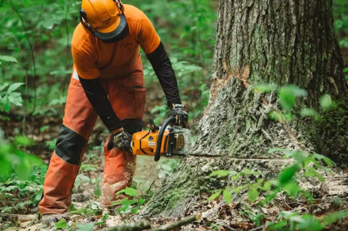 Stihl 500i chainsaw for cutting woods