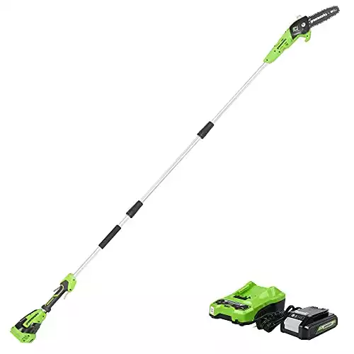 Greenworks 24V 8-Inch Cordless Pole Saw | Amazon