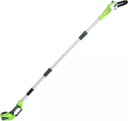 Greenworks 40V 8-Inch Cordless Pole Saw | Amazon